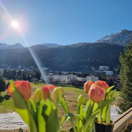 Modern Aptr Davos